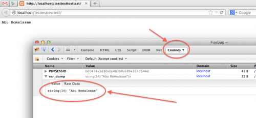 чтение содержимого файлов cookie из Firebug